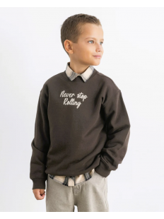 Свитшот (арт. 73617)