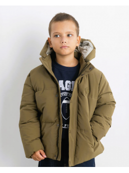 Куртка (арт. 77941)