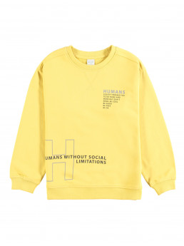 Толстовка (арт. 08005)