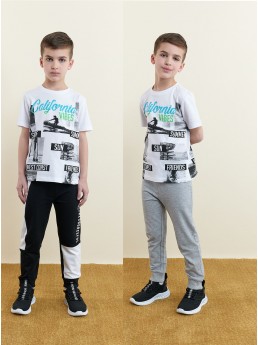 Брюки спорт (арт. 88450)