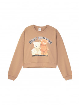 Толстовка (арт. 12722)