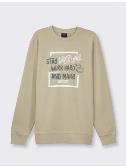 Толстовка (арт. 18428)