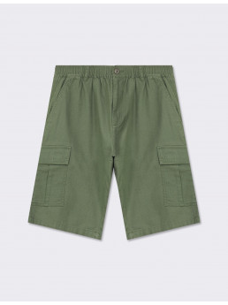 Шорты (арт. 25404)